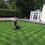 Lawn Scarifying: 5 Steps On Effective Scarifying