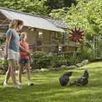 What To Consider When You Decide To Keep Chickens At Your Home