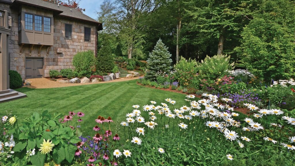 7 Trees & Shrubs That Attract Wildlife to Your Garden