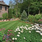 7 Trees & Shrubs That Attract Wildlife to Your Garden